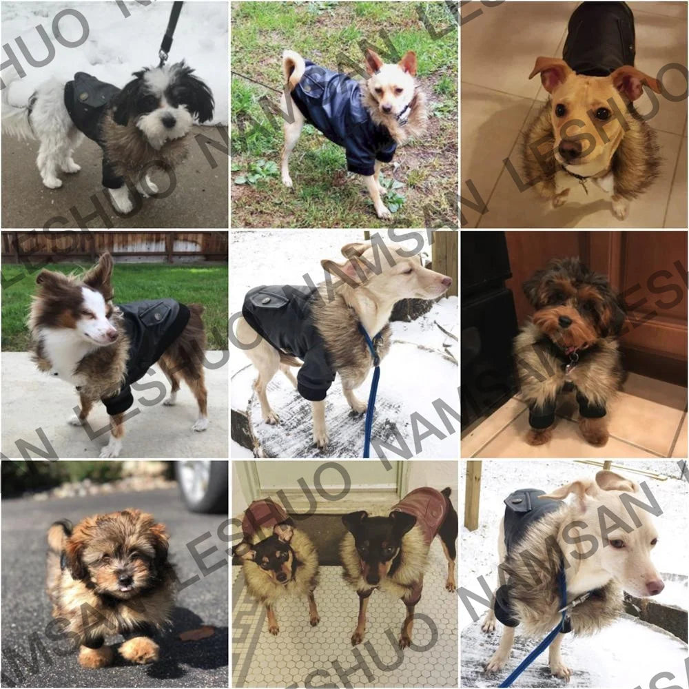 Pet Leather Jacket Winter Dog Coat Waterproof Small Dog Clothes Puppy Apparel Warm Clothes for Puppy