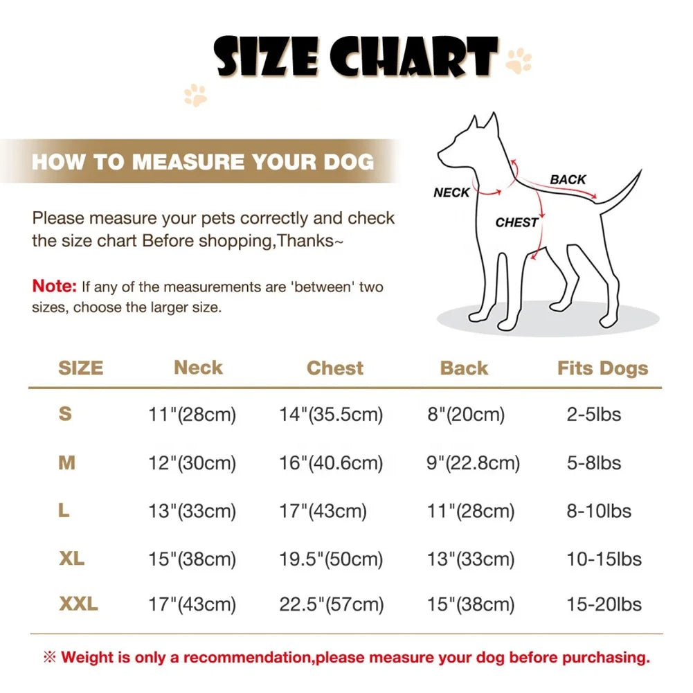 Pet Leather Jacket Winter Dog Coat Waterproof Small Dog Clothes Puppy Apparel Warm Clothes for Puppy