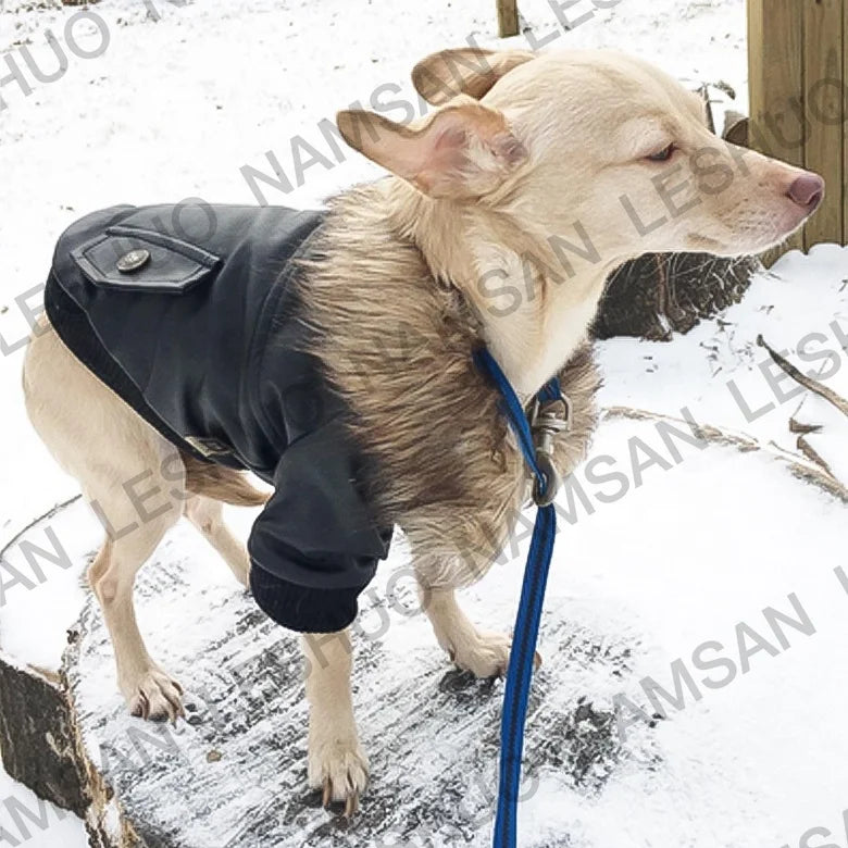 Pet Leather Jacket Winter Dog Coat Waterproof Small Dog Clothes Puppy Apparel Warm Clothes for Puppy
