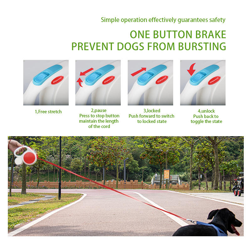 Dark blue 5M Retractable Dog Leash - With Small Box, Suitable For Small And Medium Dogs