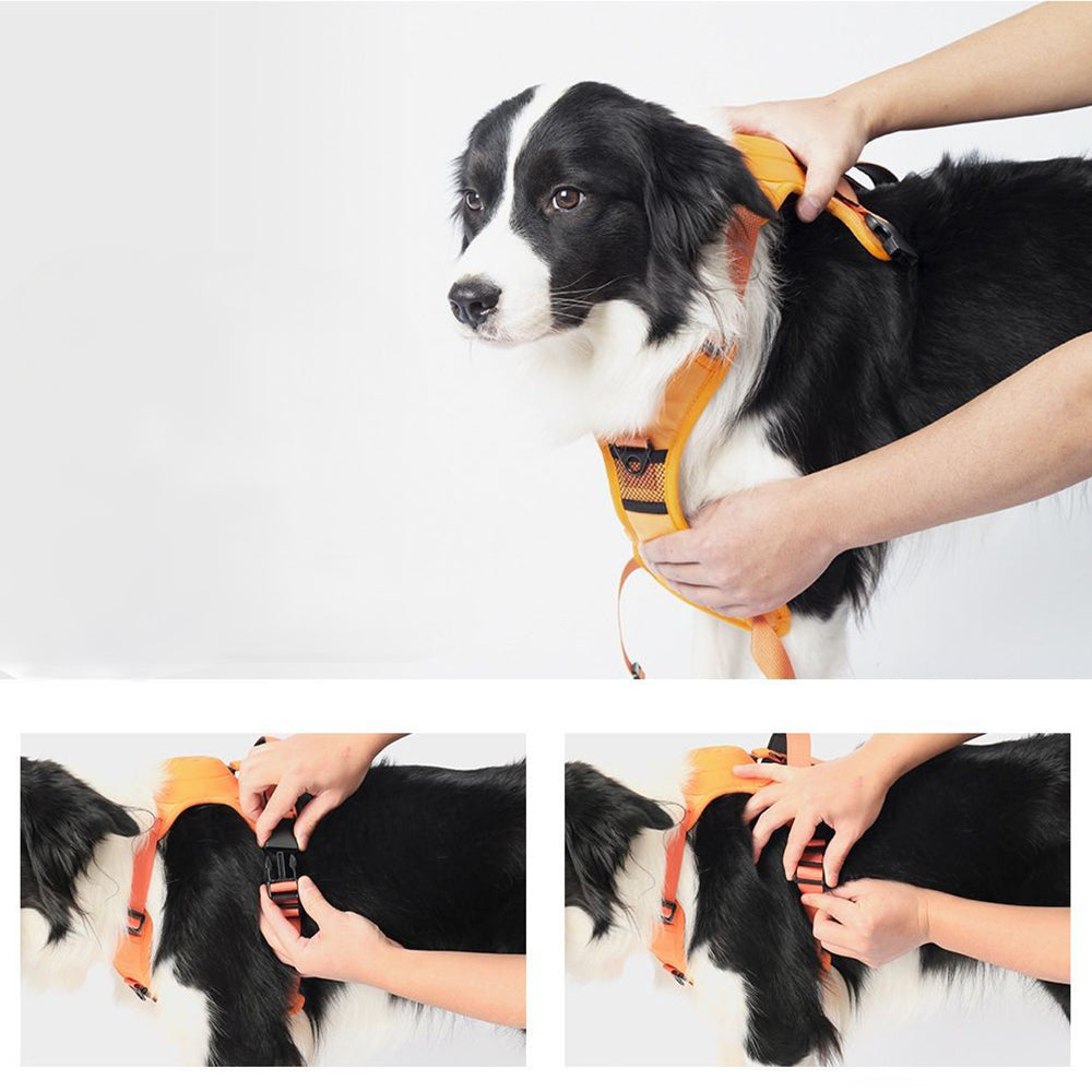 Vibe Geeks Ultimate 2-in-1 Reflective No-pull Dog Harness with Retractable Leash and Control Handle - Black - L