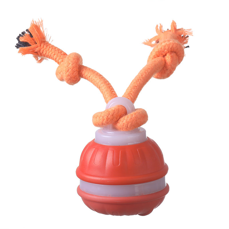 Orange 2- pcs Interactive Dog Toy - Self-Moving Ball with Rope, Boredom Buster